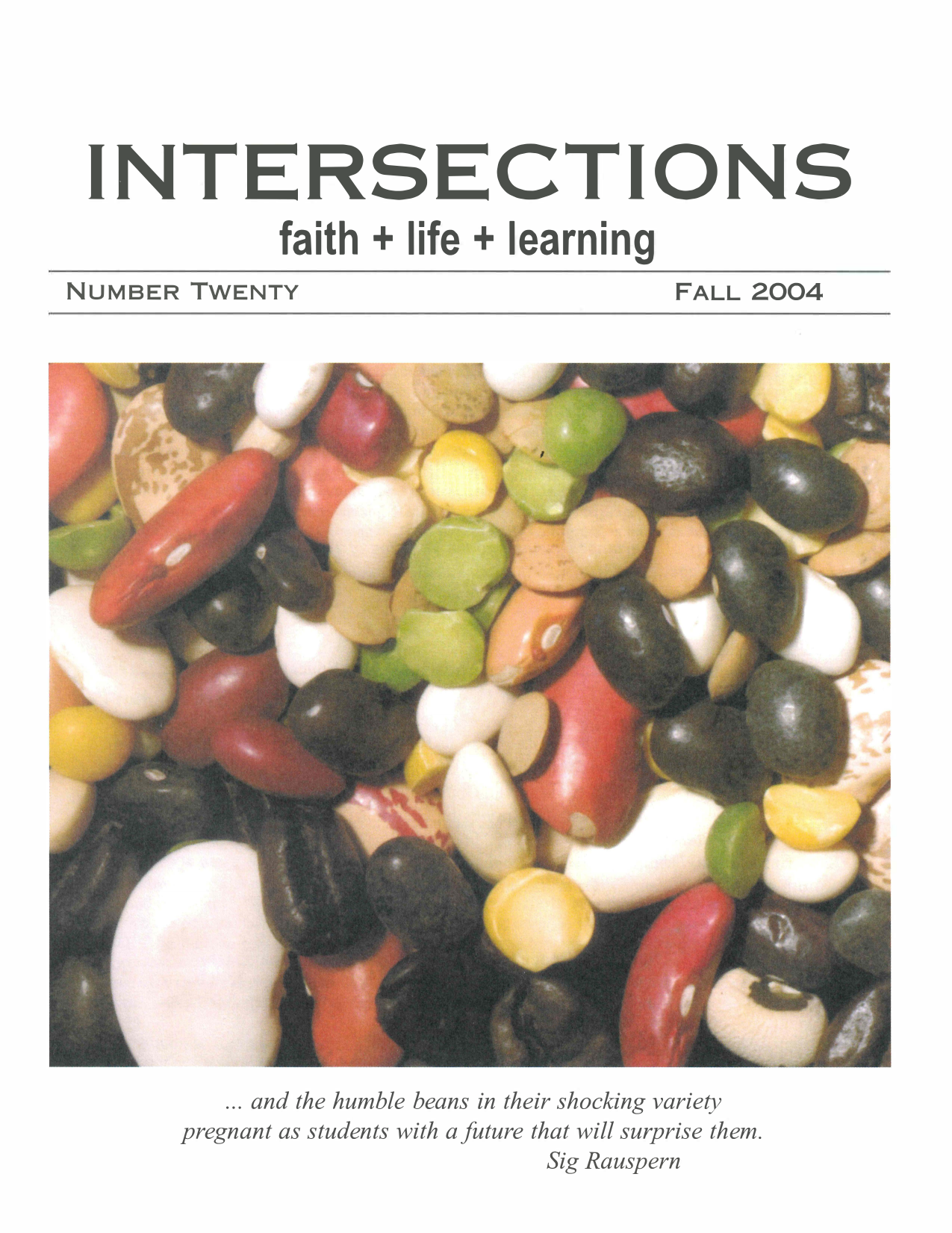 Issue 20 cover
